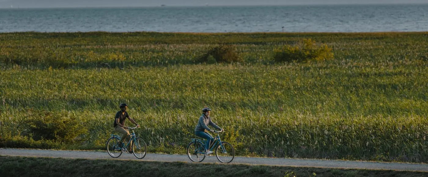 Cyclists riding along Richmond's West Dyke beside the river